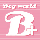 Dog World B+様イメージ画像